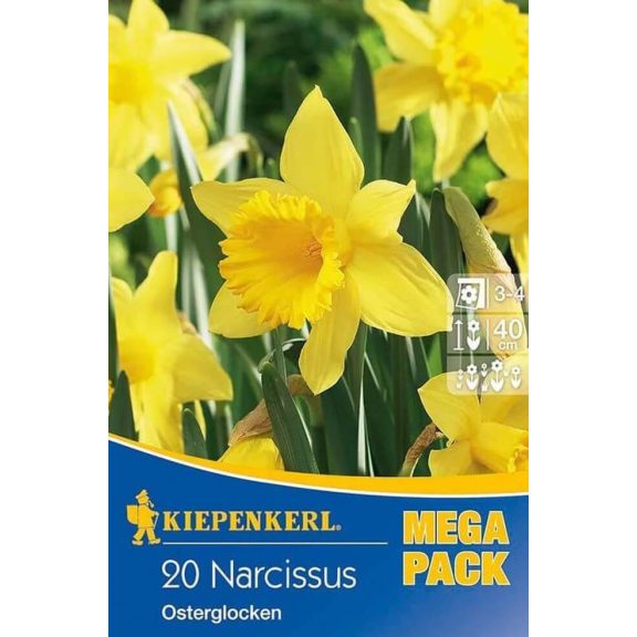 Mega-Pack Nárcisz Osterglocken 17 db virághagyma (KP)