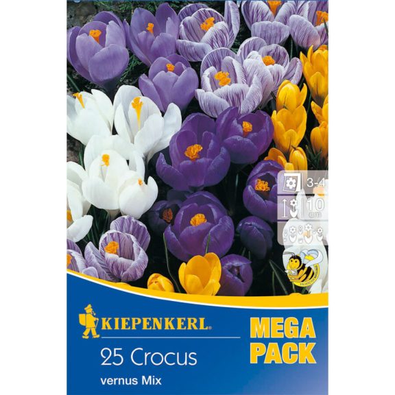 Mega-Pack Nagyvirágú krókusz színkeverék  25 db virághagyma (KP)