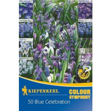   Colour Symphony 'Blue Celebration' (Muscari-Scilla-Anemone-krókusz-Chinodoxa-Puschkinia, lila-fehér) 50 db virághagyma (KP)