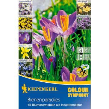  Colour Symphony 'Bienenparadies'(méhlegelő) 50 db virághagyma (KP)