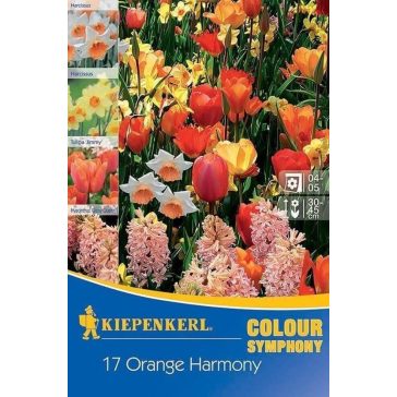   Colour Symphony 'Orange Flower'(nárcisz-tulipán-jácint, narancssárga-sárga) 18 db virághagyma (KP)