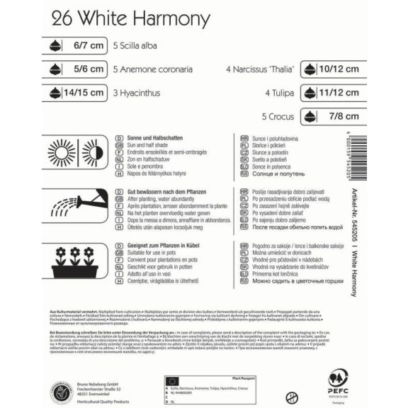 "Colour Symphony 'White Harmony'  (jácint-tulipán-nárcisz-krókusz-szellőrózsa-Scilla, fehér)"