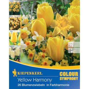   "Colour Symphony 'Sunny Bloom' (nárcisz-jácint-tulipán-krókusz, sárga)" 28 db virághagyma (KP)