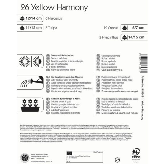 "Colour Symphony 'Sunny Bloom' (nárcisz-jácint-tulipán-krókusz, sárga)" 28 db virághagyma (KP)