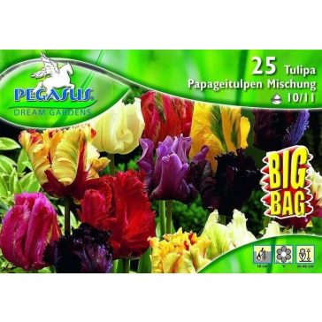   Pegasus Papagáj-tulipán színkeverék BIG BAG 25 db virághagyma (KP)