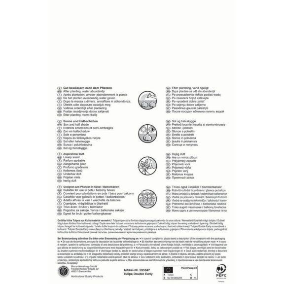 Pegasus Teltvirágú tulipán színkeverék