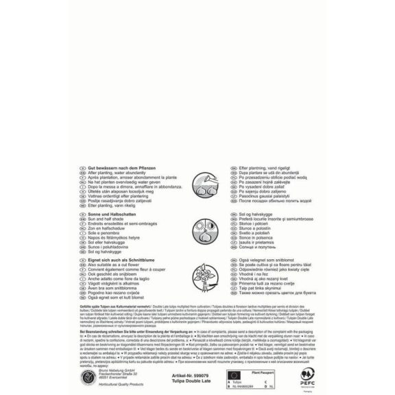 Pegasus Tulipán Carnaval de Nice és Blue Diamond