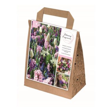   Nyugtató illatok Jól-Lét virágcsomag (30 db virághagyma)