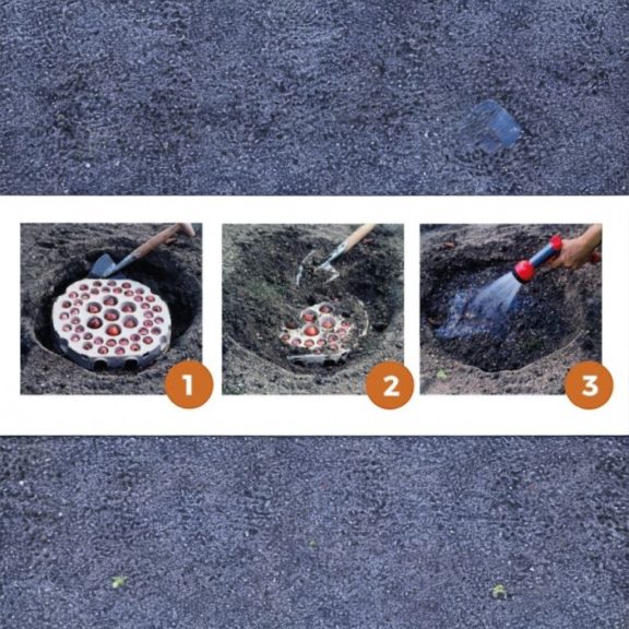 Tulipán & krókusz - ültetésre kész virághagyma csomag plant-o-mat tálca Ø 24 cm - (19 db virághagyma)