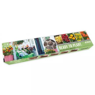   Ültetésre kész virághagymacsomag balkonládába Balcon-o-Mat napsütés keverék (38 db virághagyma)