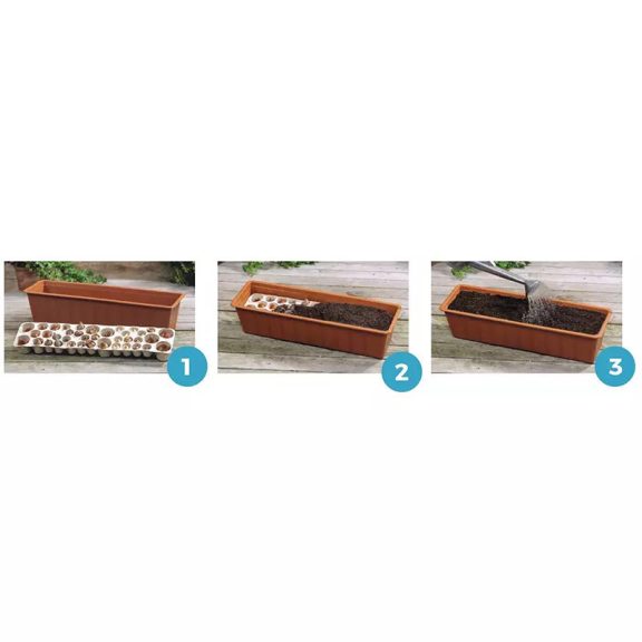 Ültetésre kész virághagymacsomag balkonládába Balcon-o-Mat Galaxy keverék (38 db virághagyma)