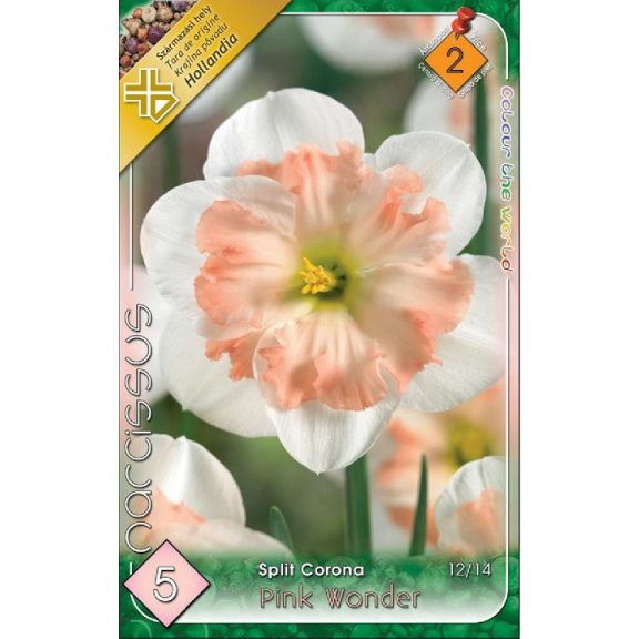 Narcissus Split Corona Pink Wonder / Nárcisz Pink Wonder 5 db (LA)