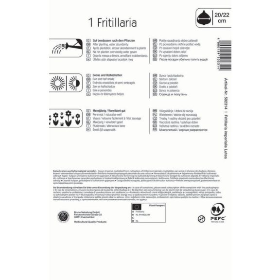 Fritillaria imperialis Maxima Lutea / Császárkorona sárga 1 db (LA)