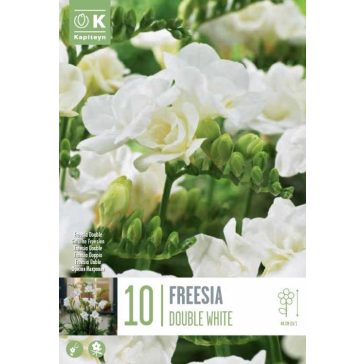   Frézia Teltvirágú Fehér -10 db/csomag (Freesia Double White)
