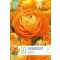 Ranunculus asiaticus ‘Aviv Orange’ – Ázsiai boglárka, narancssárga (10 db virághagyma)