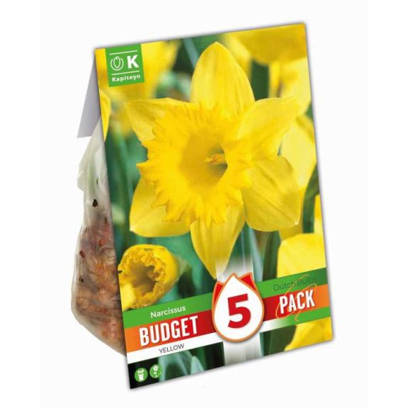 Sárga nárcisz – 5 db/csomag