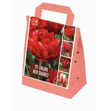   Shades of Colour Tulipa ‘Red Shades’ – Piros árnyalatú tulipánkeverék (25 db virághagyma)