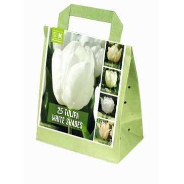   Shades of Colour Tulipa ‘White Shades’ – Fehér árnyalatú tulipánkeverék (25 db virághagyma)