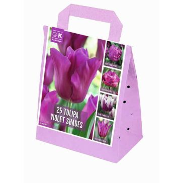   Shades of Colour Tulipa ‘Violet Shades’ – Lila árnyalatú tulipánmix (25 db virághagyma)