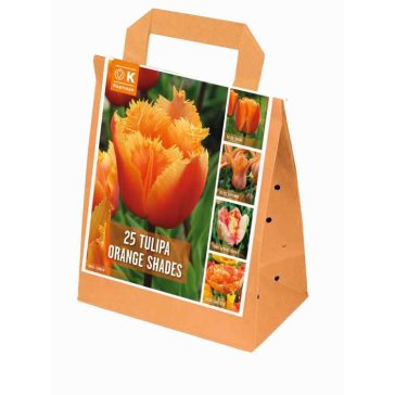   Shades of Colour Tulipa ‘Orange Shades’ – Narancs árnyalatú tulipánmix (25 db virághagyma)