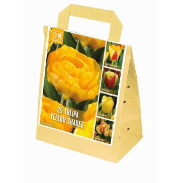   Shades of Colour Tulipa ‘Yellow Shades’ – Sárga árnyalatú tulipánmix (25 db virághagyma)