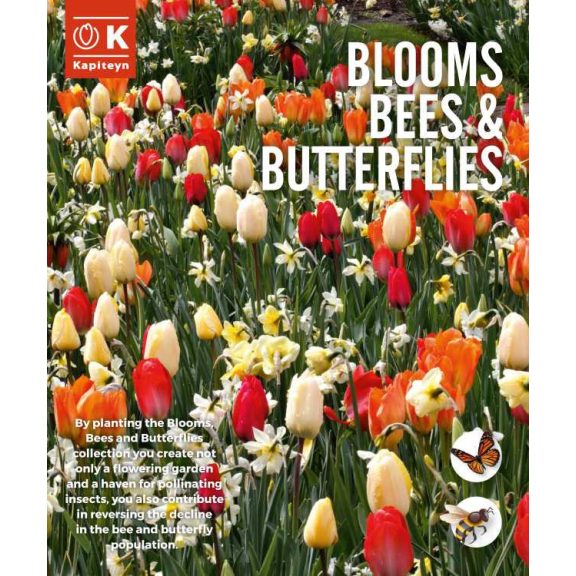 Blooms, Bees & Butterflies Landscape Garden ‘Sunlight’ – Napfény színű virágkeverék beporzók számára (25 db virághagyma)