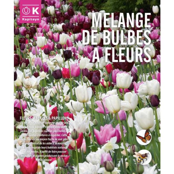 Blooms, Bees & Butterflies Landscape Garden ‘Pink’ – Rózsaszín, beporzóbarát tájkerti válogatás (25 db virághagyma)