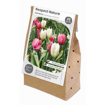   Tulipa ‘Respect Nature – Romance’ – tulipán, nárcisz és puschkin virágmix (25 db virághagyma)