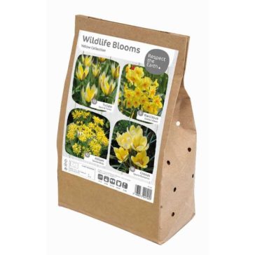  Wildlife Collection ‘Yellow’ – Méhbarát sárga hagymás virágkeverék (40 db virághagyma)