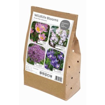   Wildlife Collection ‘Purple-Pink’ – Méhbarát rózsaszín-lila hagymás keverék (40 db virághagyma)