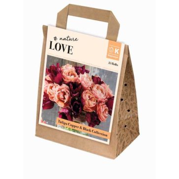   Bouquet Collection Tulipa ‘Copper & Black’ – Rézbarna és fekete tulipánkeverék (25 db virághagyma)
