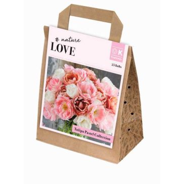   Bouquet Collection ‘Pastel Shades’ – Pasztellszínű tulipánmix (25 db virághagyma)