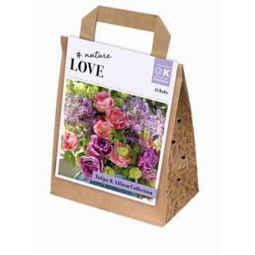   Bouquet Collection Tulipa & Allium – Tulipán és díszhagyma válogatás (25 db virághagyma)