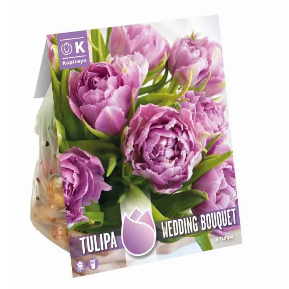 Tulipa Double ‘Wedding Bouquet – Something Blue’ – Teltvirágú tulipánkeverék (8 db virághagyma)