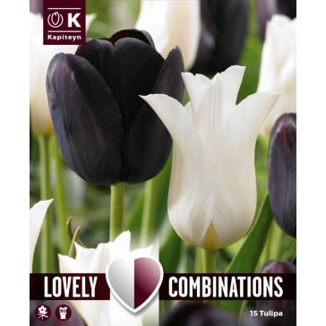   Lovely Combinations – Fekete és hófehér tulipánok – 15 db/ csomag