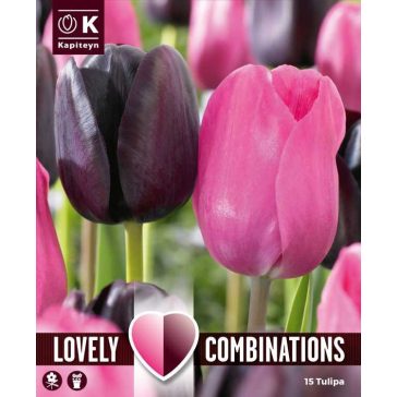   Lovely Combinations – Rózsaszín és fekete tulipánok – 15 db/ csomag
