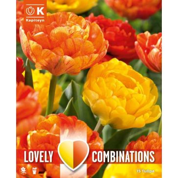   Lovely Combinations – Lángoló narancs és piros tulipánkeverék – 15 db/ csomag