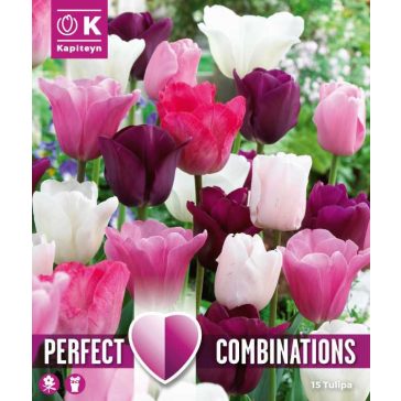   Tulipán válogatás – rózsaszín, fehér és bordó árnyalatokban 15 db/csomag
