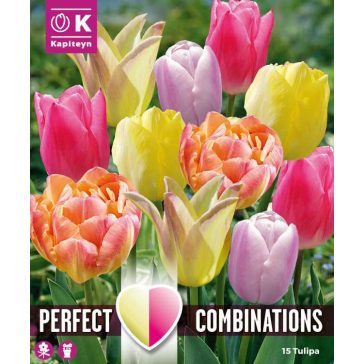   Perfect Combinations – Pasztell mix – barack, halvány rózsaszín és krém tulipánok – 15 db/ csomag