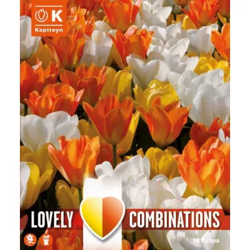   Tulipa Mix ‘White, Yellow & Orange’ – Egyszerűvirágú tulipán kombináció (15 db virághagyma)