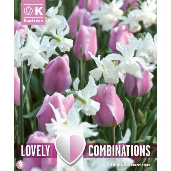 Tulipán és nárcisz válogatás – rózsaszín és fehér árnyalatokban (7 tulipán 8 nárcisz)
