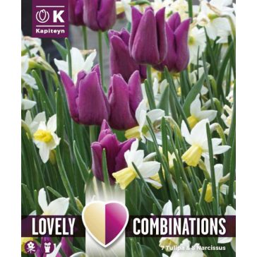  Tulipán és Nárcisz válogatás – lila és fehér árnyalatokban 15 db/ csomag