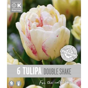 Tulipán – Double Shake 6 db/csomag