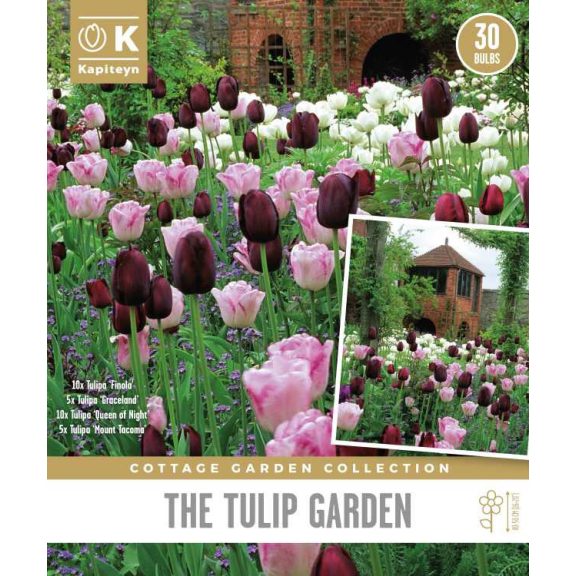 Cottage Garden ‘Tulip Garden Bags’ – Klasszikus tavaszi tulipánkeverék (30 db virághagyma)