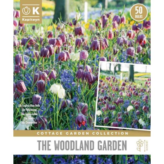 Cottage Garden ‘Woodland Garden Bags’ – Erdei aljnövényzet hatású hagymás keverék (50 db virághagyma)