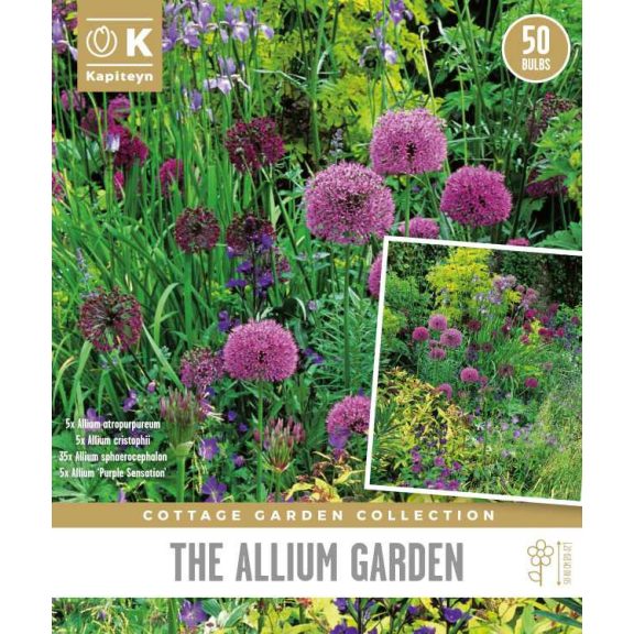Cottage Garden ‘Allium Garden Bags’ – Lila-fehér díszhagymák keveréke (50 db virághagyma)