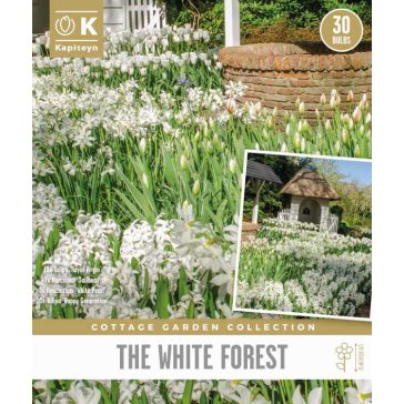   Cottage Garden ‘White Forest Garden Bags’ – Erdei hatású fehér hagymás virágkeverék (30 db virághagyma)