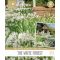 Cottage Garden ‘White Forest Garden Bags’ – Erdei hatású fehér hagymás virágkeverék (30 db virághagyma)