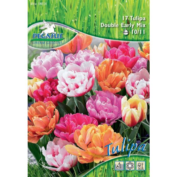 Aktion Tulipa Double Early mix (KP) 17db / csomag