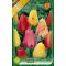 Darwin-hybrid tulipán színkeverék / Darwin hibrid mixed 10 db (LA)